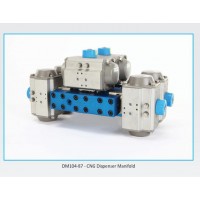 elaflex 100系列充氣點(diǎn)壓力分配器壓縮天然氣加氣機(jī)歧管