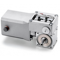 Mini Motor 蝸輪蝸桿直流減速電機(jī)BC2000-24MP，永磁直流電，全封閉