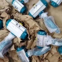 InterApp執(zhí)行器 IA250D F05-0714/2011瑞士原廠直供