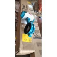 interapp中心蝶閥 DP1 100用于石油和天然氣