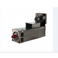 OEMER MOTORI ELETTRICI 180P 高扭矩電機(jī)