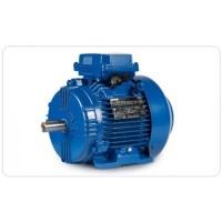 德國(guó)CEMP鑄鐵外殼防爆電機(jī)