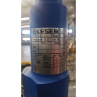 德國LESER 4373.2604用于液體應用的安全閥液化天然氣和液化石油氣行業(yè)