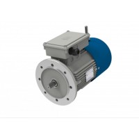 M.T. Motori DF 系列電機(jī)具有雙極性的三相自制動(dòng)電機(jī)