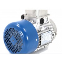 M.T. Motori TF 系列三相自制動(dòng)電機(jī)交直流制動(dòng)器