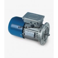 意大利STM平行軸螺旋齒輪減速機