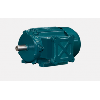 意大利Electro Adda高溫用三相異步電動機