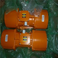 工業(yè)“震”能量：探秘Italvibras MVT 15/5000-S08振動器