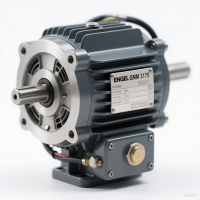 ENGEL GNM 3175 直流電機(jī)：750W功率密度與高效運行的完美平衡
